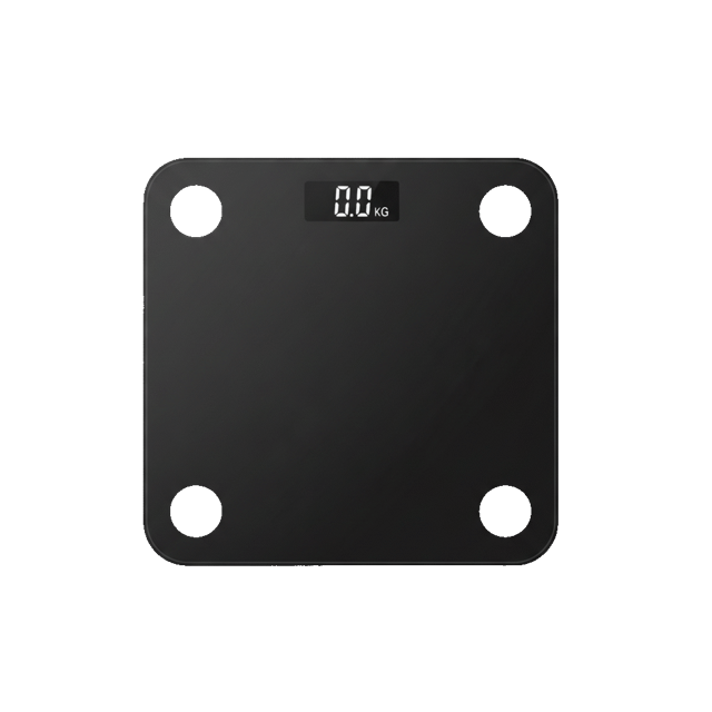 Digital Scale
