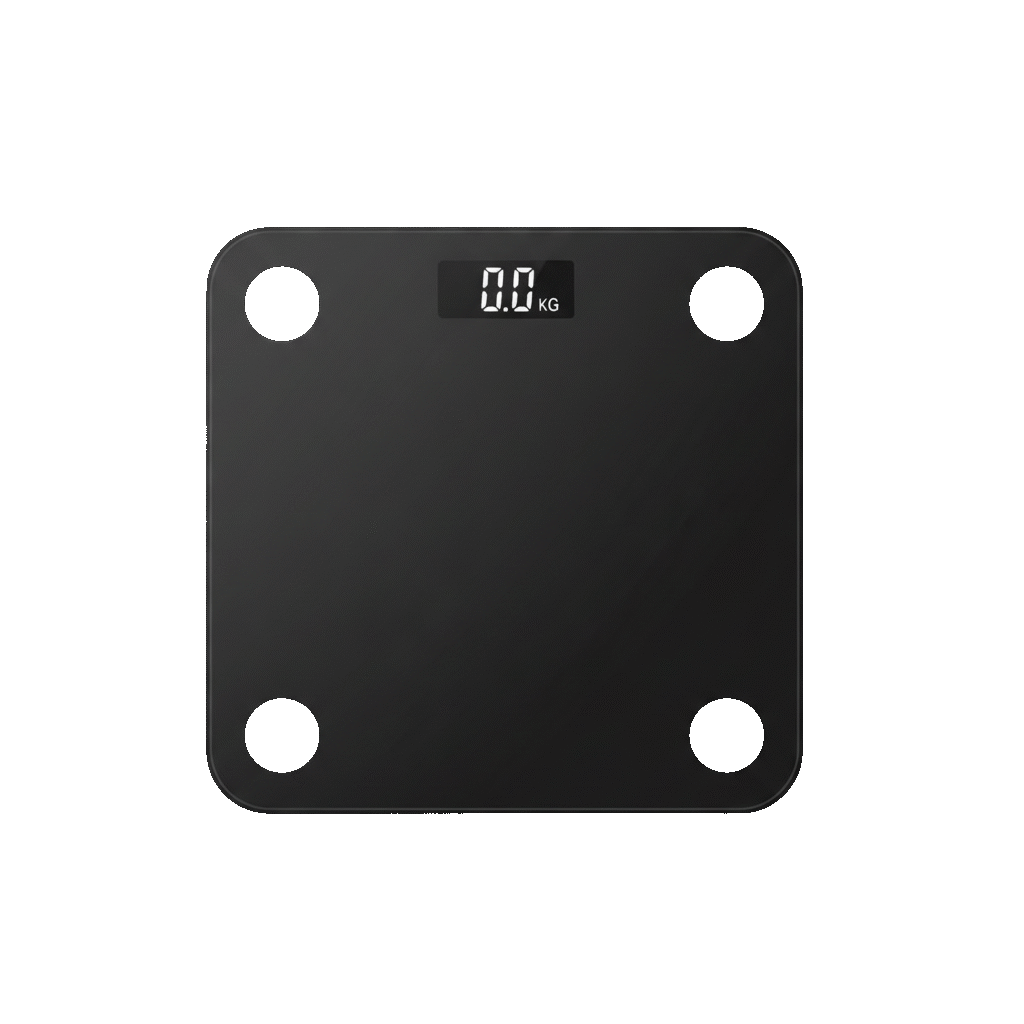 Digital Scale